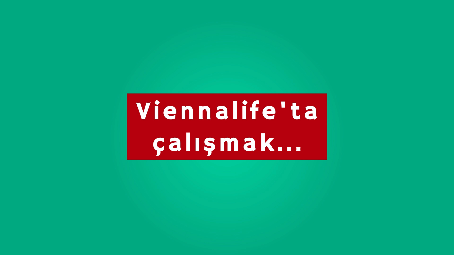 Viennalife'ta Çalışmak Nasıl? 